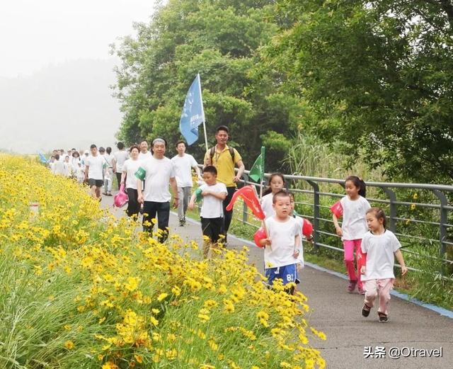 超级宝妈|穿越鹏城的前世今生