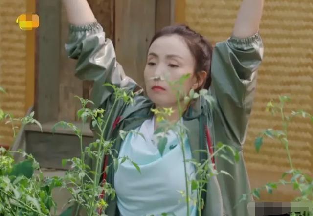 《向往的生活》周迅陶虹为何反差如此之大？都是岁月惹的祸？9号放映厅