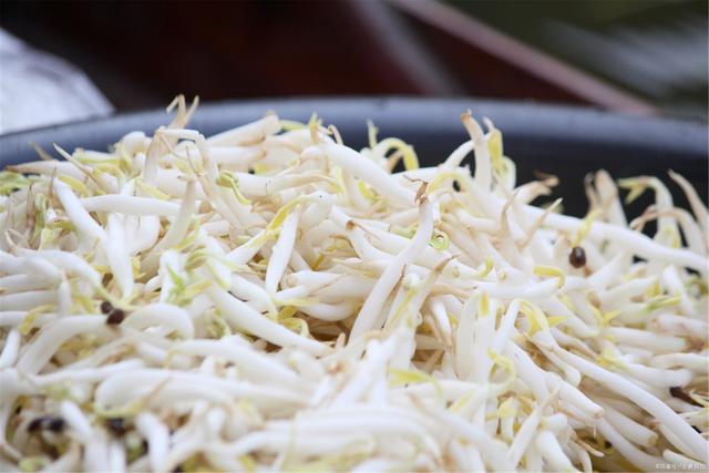 在家发豆芽好简单，只需水和豆，5天就发好，脆嫩好吃，干净卫生