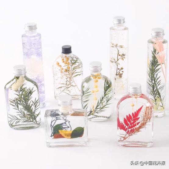 你的育儿经|植物DIY，让孩子们拥有一块自己的园地