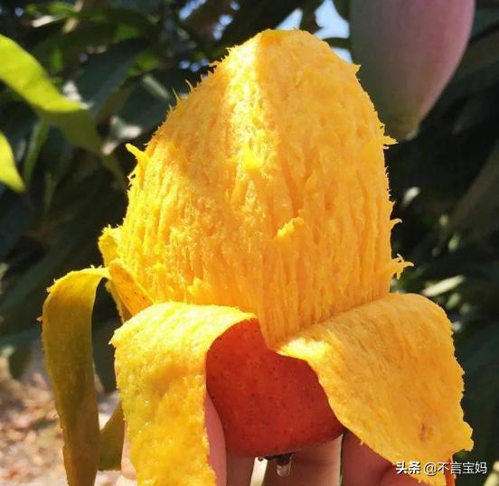 超级宝妈▲不管有钱没钱，多给孩子吃这些“夏季黄金果”，补充营养又降暑