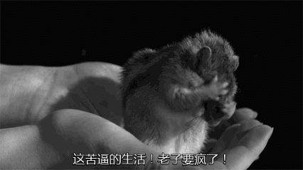 #超级宝妈#“婴儿般的睡眠”广告语是谁编的，你出来，我保证不打你