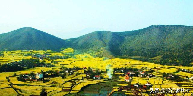「约吗旅行」百万亩油菜花盛开，处处诗情画意，致最美的汉中油菜花
