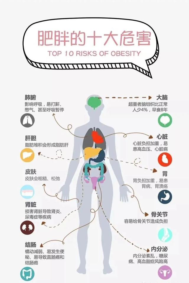 上海市|代谢指标正常的肥胖需要治疗吗？长征医院减肥门诊开诊