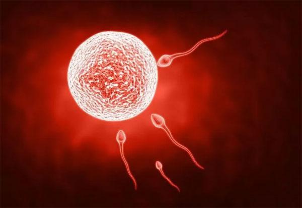 凉年|为什么有人一直生不出男孩？科学研究：主要三个原因