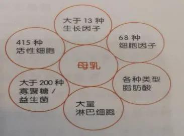 安全港|做了乳汁成分分析，乳汁营养不够吗？