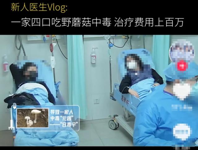 『超级宝妈』一家4口食物中毒，重者住进ICU！家有老人、孩子要注意这些问题