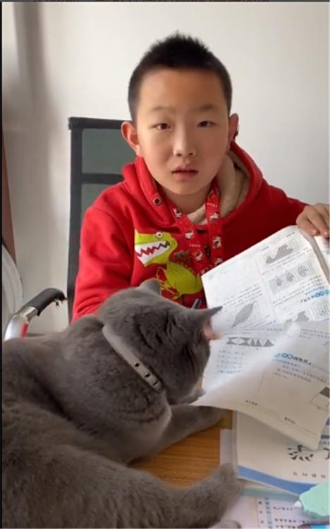 你的育儿经：“老师，我说的都是真的！”孩子作业被猫撕坏没法交，老师却不信