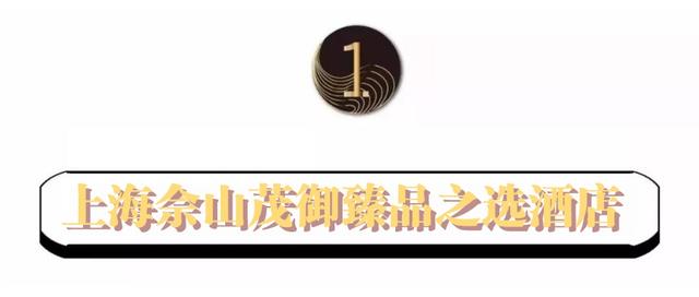 松江人，还没想好年夜饭去哪吃？看这篇文章就够啦→