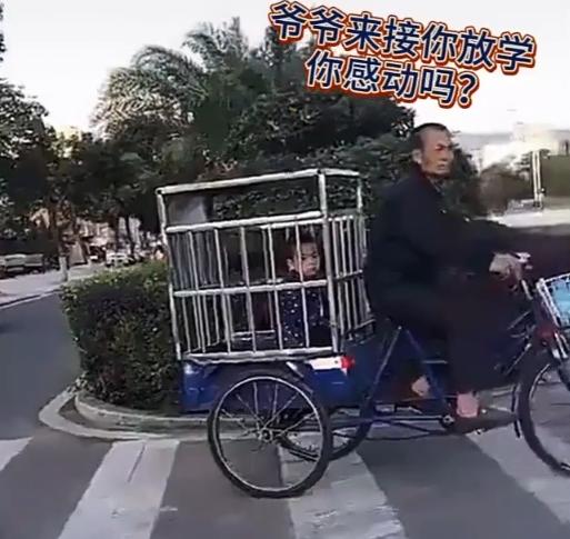 超级宝妈|有种同款护娃是隔代亲,最安全“接娃坐骑”,宝宝不敢动甚至想哭