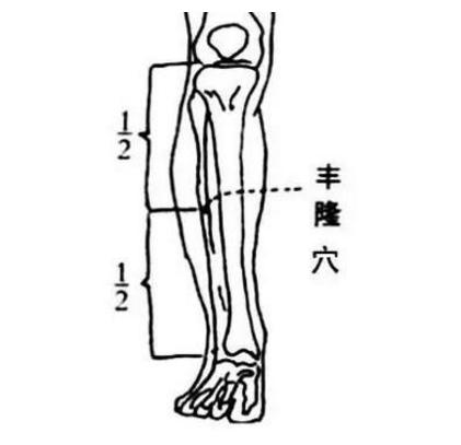 痰多？肥胖？头昏？困重？一个重要穴位助你改善这些不舒适