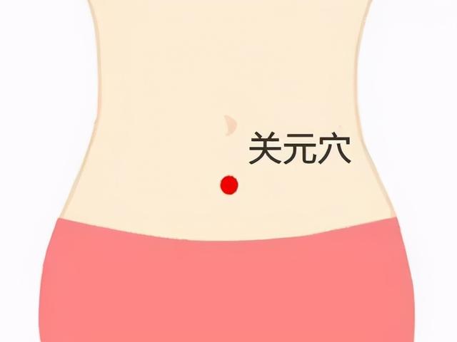 肚子上的四大要穴——气海、关元、神阙、命门