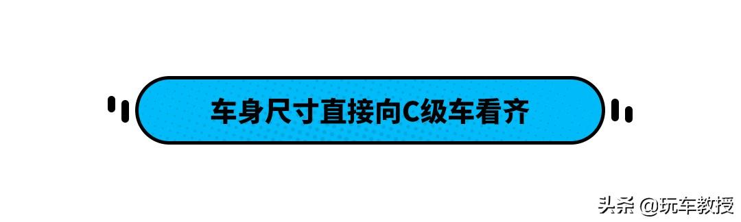 面对两类完全不同的消费者 这些车企干了这些事