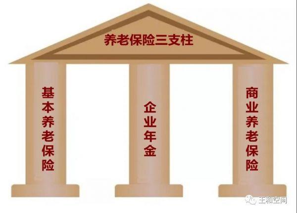 保险|保险学者王和：“横竖”都是为了更好地养老