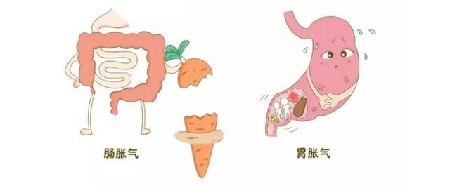 无穷的温馨|孕妈妈“胃气大”是怎么了！吃它就对了—植物乳酸杆菌299v