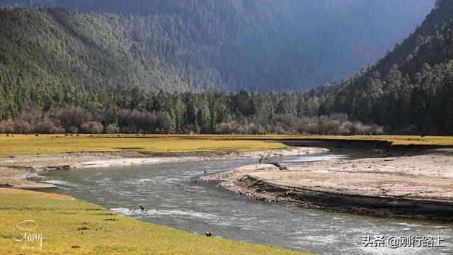 「旅行柚子君」镶嵌在高山森林之中的绿色宝石,这就是草湖