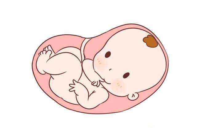 怀孕后，孕妈该如何判断肚子里的胎儿是否健康？了解一下心里有底
