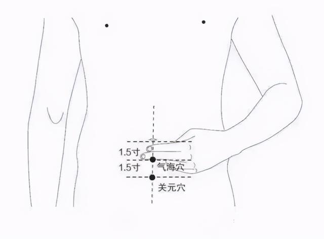 肚子上的四大要穴——气海、关元、神阙、命门