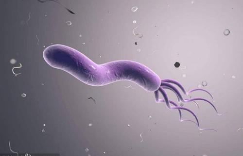 胃黏膜萎缩可能有一种维生素缺乏了，这2种人建议及时做2项检查