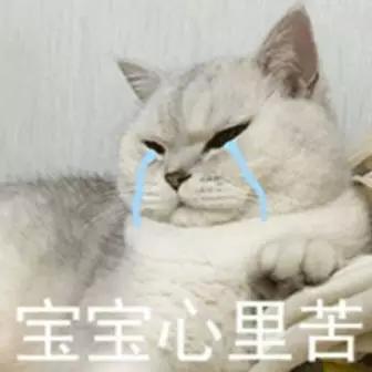 新民晚报:上海街头惊险一幕!妈妈竟让6岁儿子自己开车, 还发朋友圈炫耀!