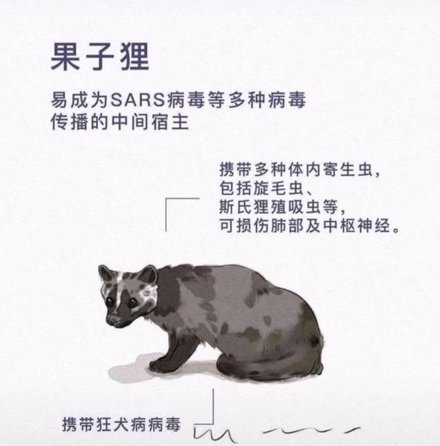 你的育儿经@理性一点，如何教育孩子正确认识小动物