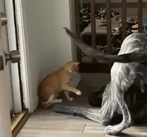 我进来啦,你也进来吧～我出来啦,你出不来了吧～哈哈哈