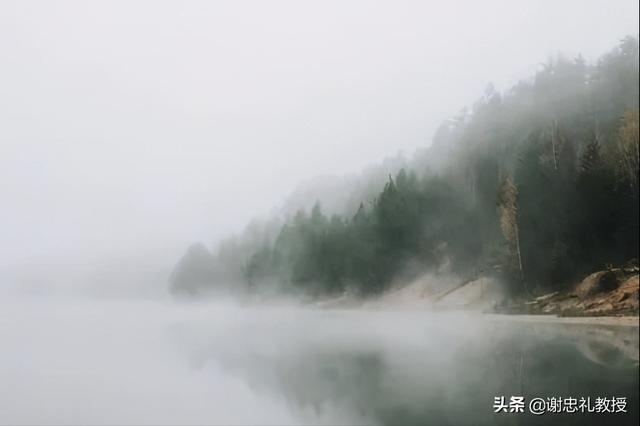 湿热入腰，腰痛难消！张景岳医案，教你除湿热治腰痛