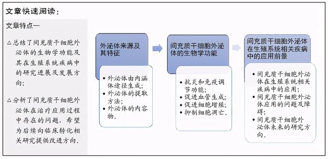 间充质干细胞外泌体应用于生殖系统疾病治疗的作用与机制