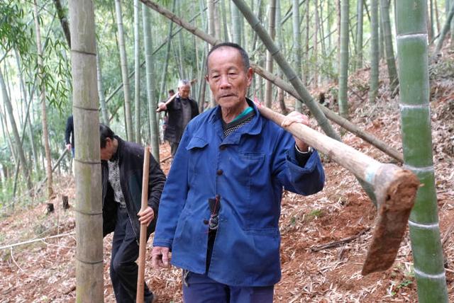 黄鱼|小柏菜｜去浙江山间，捕捉极品“山黄鱼”！那种鲜，才是春日限定美物