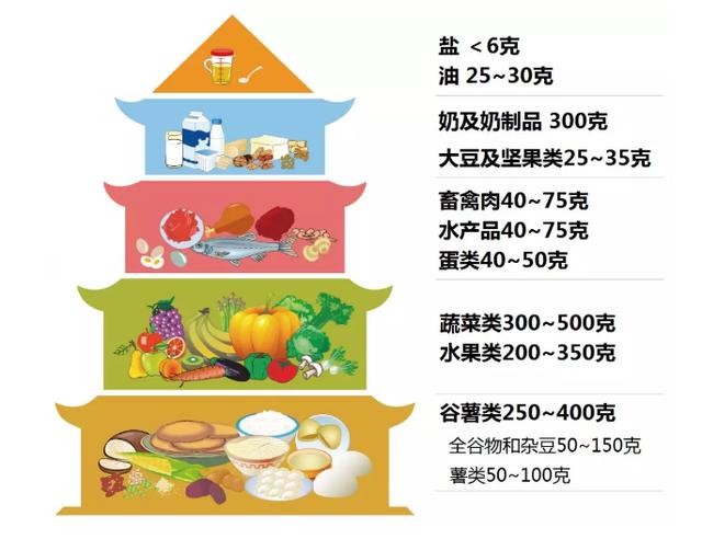 「妙手养生堂」营养周系列科普|与健康密不可分的两个要素,怎样保持平衡?