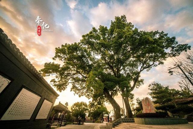 「旅行柚子君」“天下第一桃园”惊艳回归,在桃花盛开的地方遇见泼墨人家