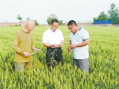 旅行百事通■5月21日·邢台要闻快报:10万张旅游优惠券免费发给市民;太阳19日戴“美瞳”,美照在邢台人的朋友圈刷屏