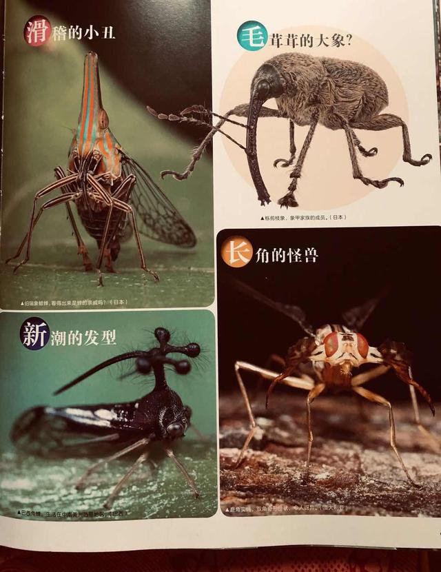 超级宝妈|六一儿童节专属：什么样的礼物对孩子最好，这本书给出了答案