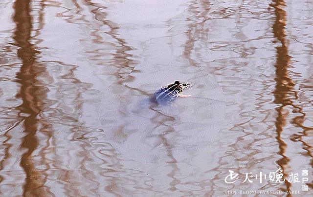 约吗旅行■阳春三月，这里的景色很迷人