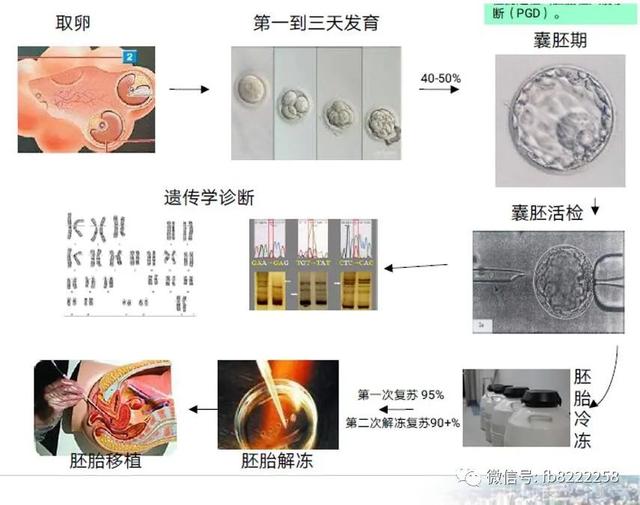 保健院|赣州市首例第三代试管婴儿受孕成功