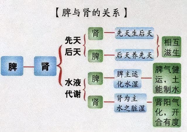 《疏调养生谈》浅谈冬季养生