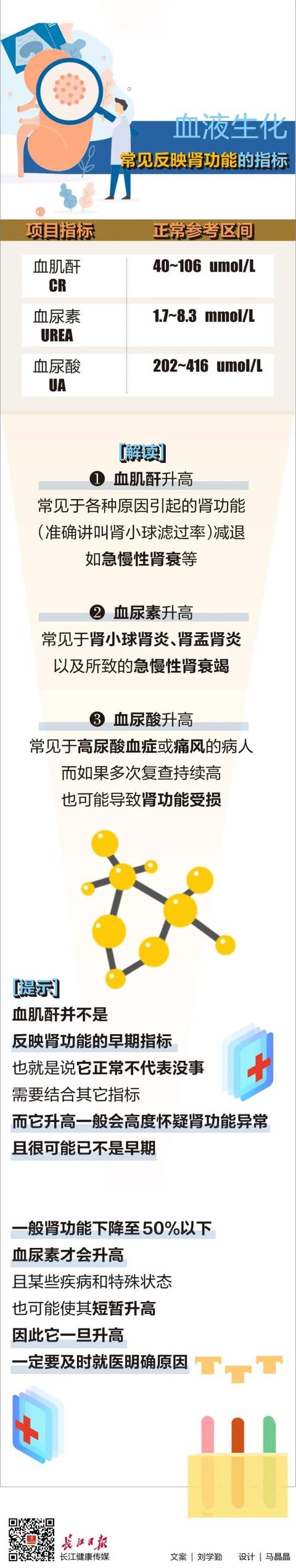 肾功能是好是坏，这3项指标会“说话”｜体检密码