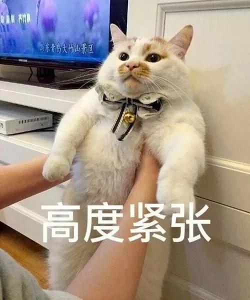 新民晚报:上海街头惊险一幕!妈妈竟让6岁儿子自己开车, 还发朋友圈炫耀!