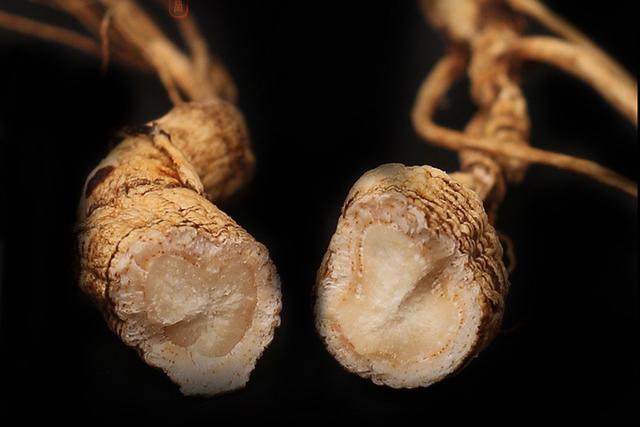 神农本草图经，薯蓣 菊花 甘草 人参 石斛 石龙芮