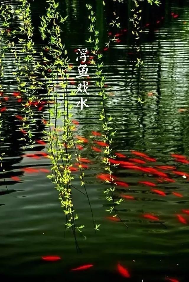 超级宝妈@《给孩子的节气古诗词》中十首谷雨诗词，留住最后一抹春色