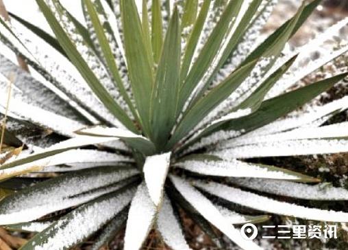 趣旅游■看看窗外的雪！美丽乡村的美景无处不在，令人眼花缭乱