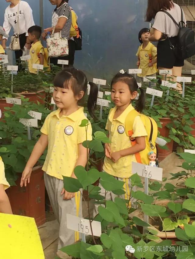 「超级宝妈」疫情当下，和孩子谈谈自然生命教育