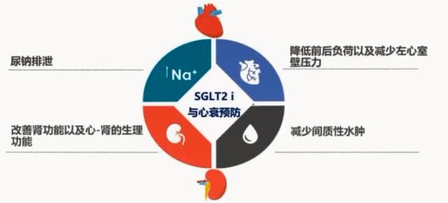 两类新型降糖药，都能明确保护心肾，两者有何不同？从5方面说清