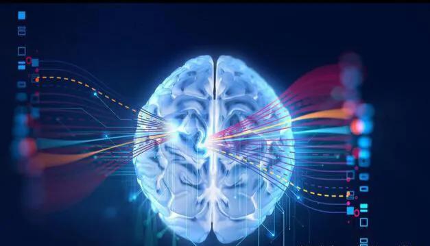南浔的梦|扔垃圾的时候，顺手把手机也扔了？怀孕让我变傻了吗？