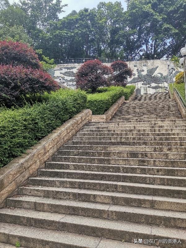 【山楂味的诗】走马观花,看顺德大良。