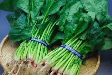 眼睛|眼睛疲劳、干涩，就吃它们……