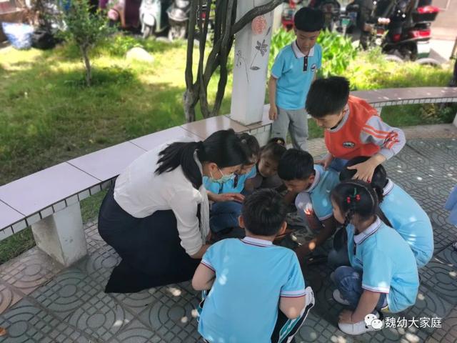 超级宝妈▲魏幼开学第一天：谱写初夏乐章