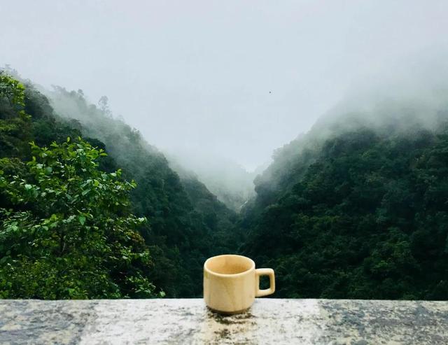 每天喝绿茶，可以防流感？这样喝茶，小心身体越喝越差！