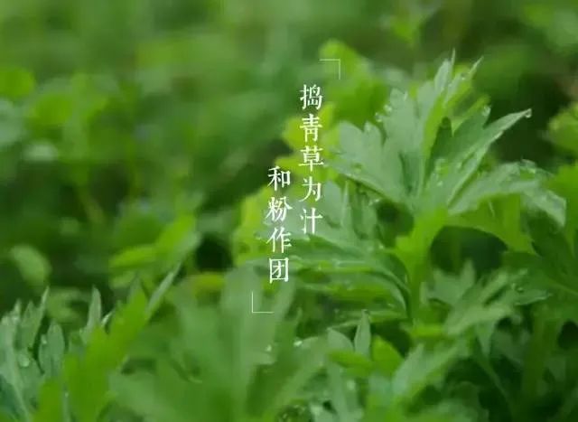 青团|你想了一年的春天限定“青团”来了，外皮软糯，内馅温润，太幸福了！