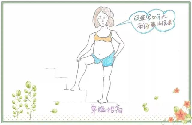 你的育儿经：科普 | 11个自由体位分娩手绘体式图，助产必备，赶紧收藏！